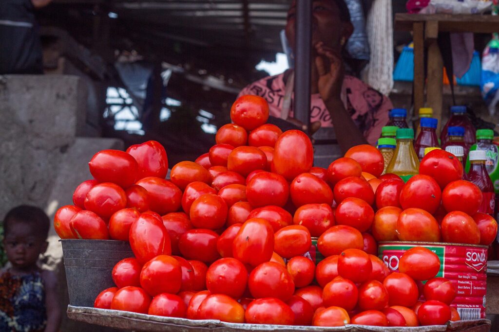 Peak Tomato Season Is Here: What Home Canners Need to Know Before Filling the Jars