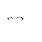 2nobwz2e.png