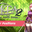 raizen884.itch.io