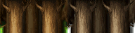 tnfh8lz8.png