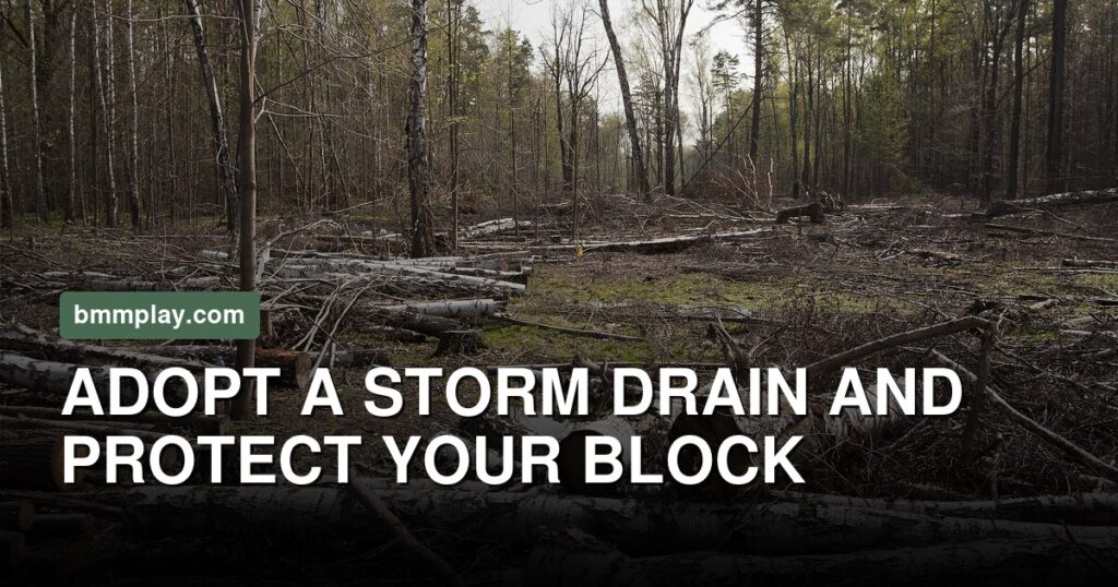 Adopt the Storm Drain, Keep the Grate On, and Know When to Call the City